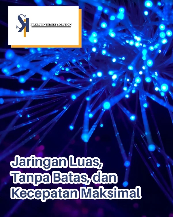 bnn